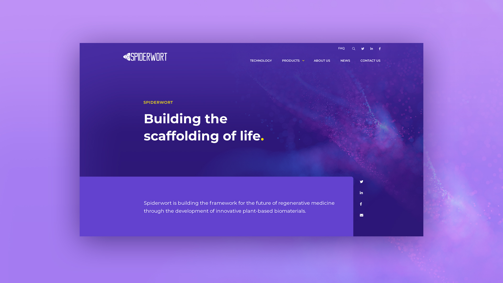 Spiderwort header image